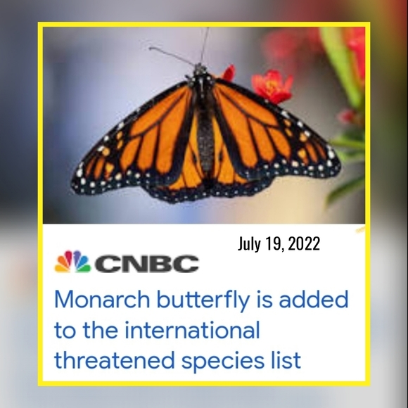 🦋 "RARE" White Monarch Butterfly Mini Backpack - Picture 3 of 12